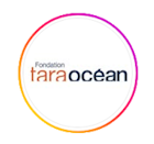 imoca