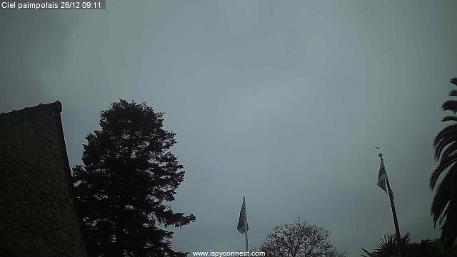 26/12/2025 09-11.jpg: